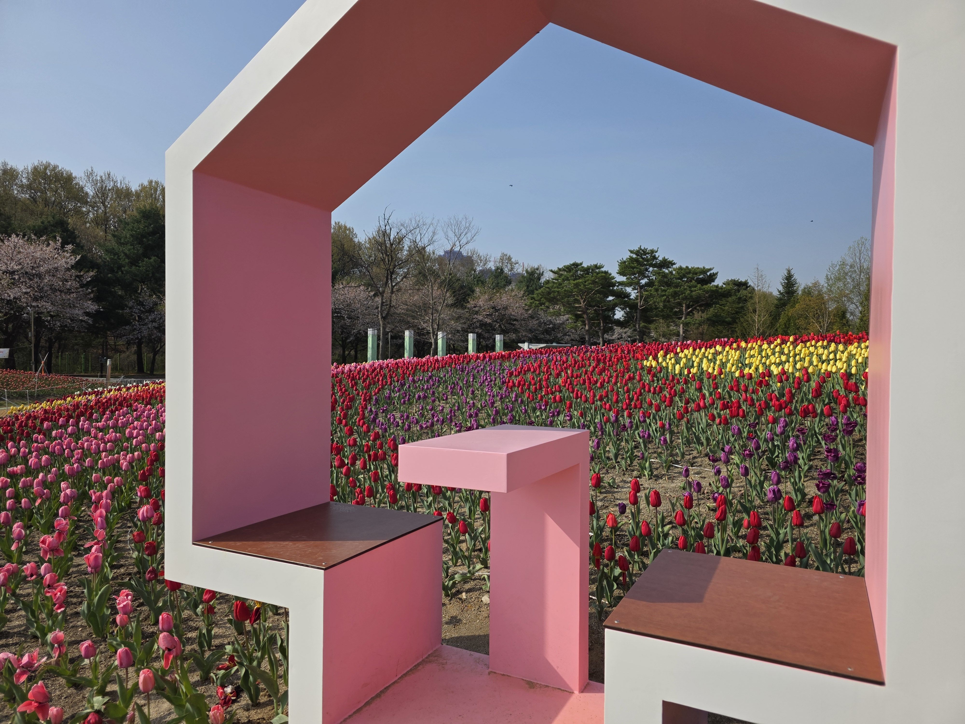 /user/p/pyoungan/editor/2601/85d3cb27770c7ad6b688df4c041fdd7b_1769493895_9249.jpg 이미지크게보기