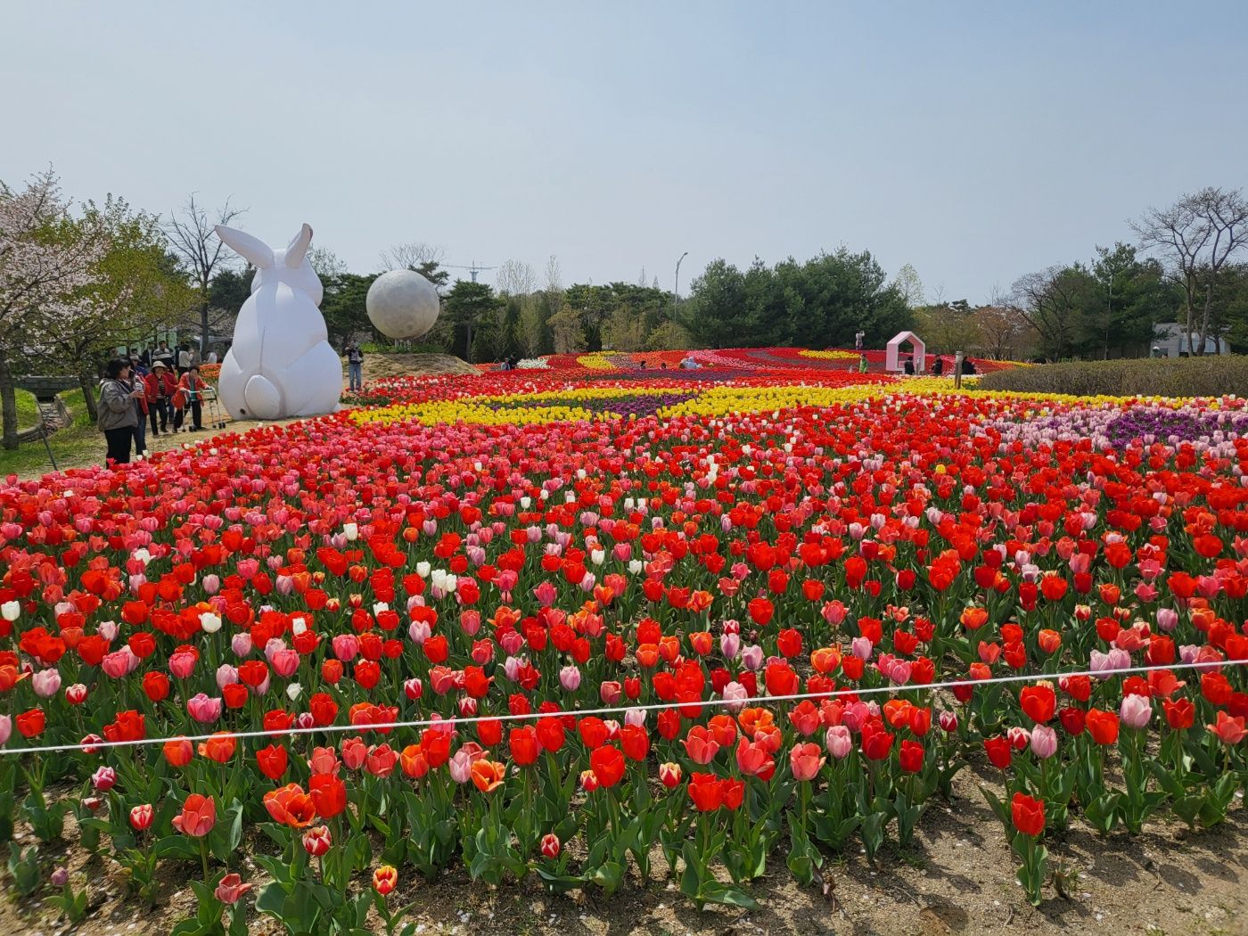 /user/p/pyoungan/editor/2601/85d3cb27770c7ad6b688df4c041fdd7b_1769493949_6677.jpg 이미지크게보기