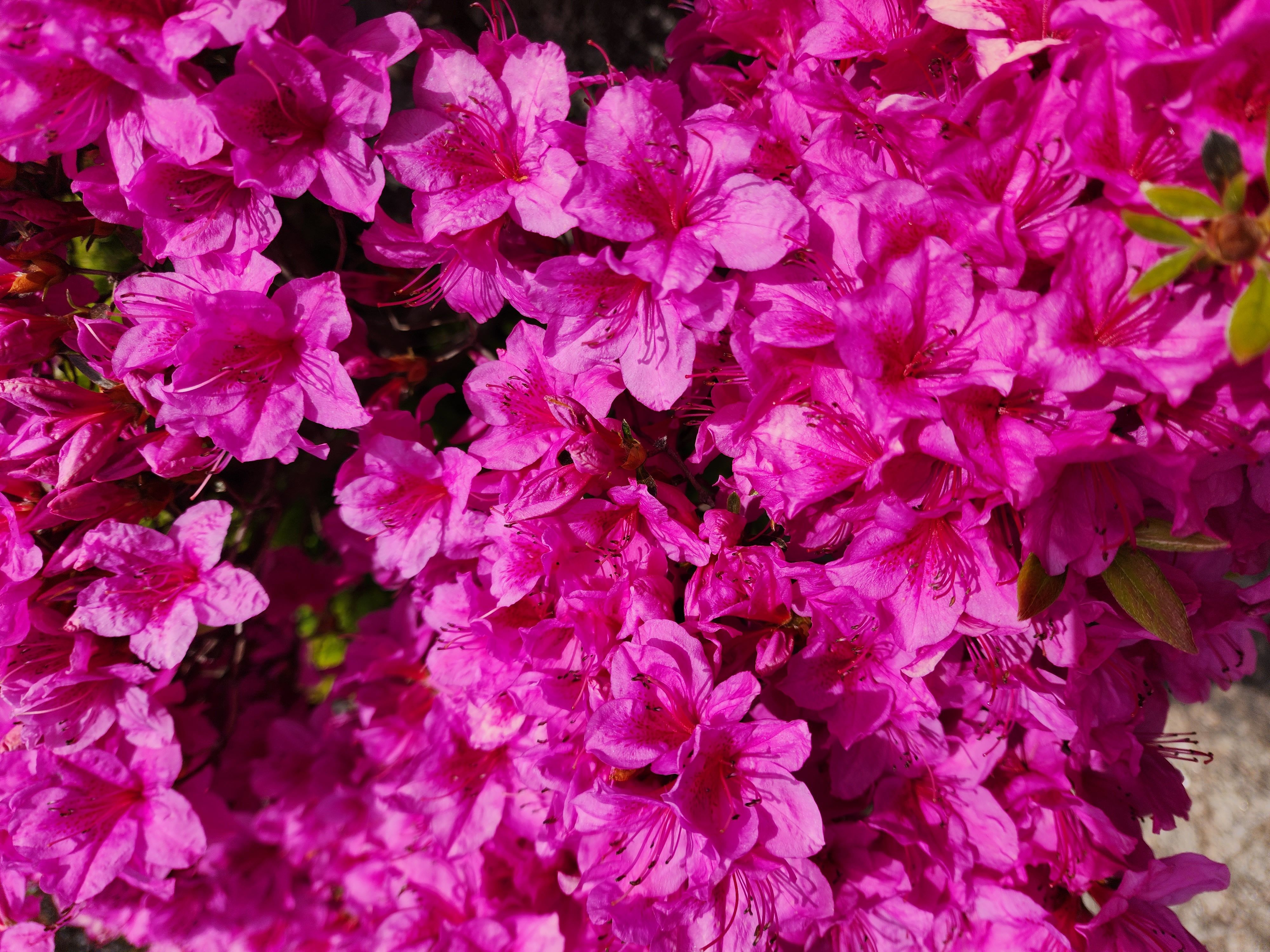 /user/p/pyoungan/editor/2601/85d3cb27770c7ad6b688df4c041fdd7b_1769494469_5998.jpg 이미지크게보기