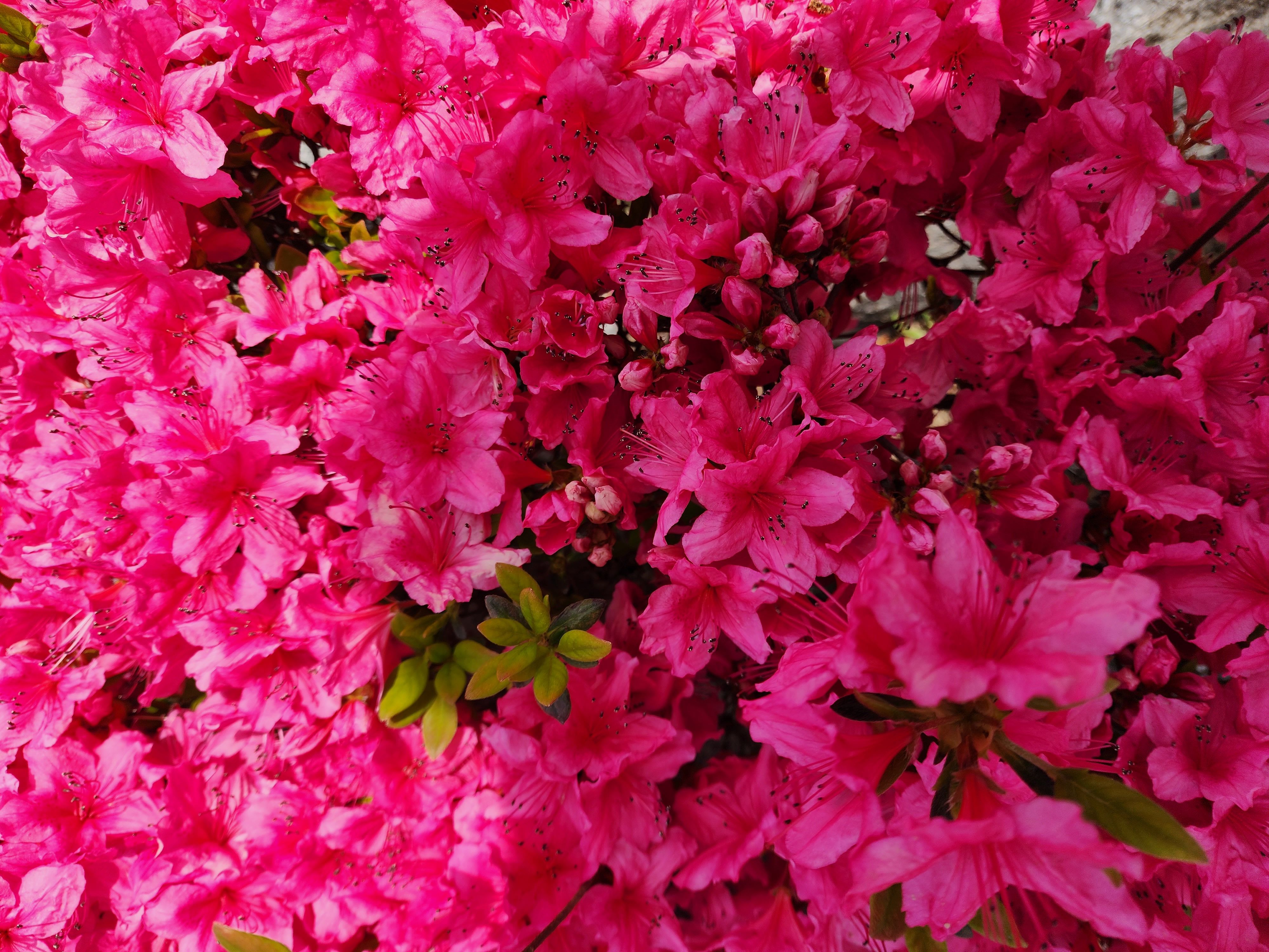 /user/p/pyoungan/editor/2601/85d3cb27770c7ad6b688df4c041fdd7b_1769494506_1651.jpg 이미지크게보기